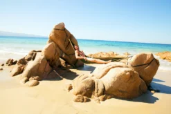 Monkey Swing Hängematte Inkl. Aufhängeset I 275 X 140 Cm I Reise,Camping,Outdoor -Angebote Moos Traum Store 0bebb2efa64e62620d957a0450e24d9f