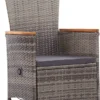 VidaXL Gartenstühle 2 Stk. Mit Auflagen Poly Rattan Grau