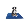 Hundematte, Kühlmatte Cooling Mat, Kühlende Unterlage Für Ihr Haustier. Kühlmatte Für Hunden Und Katzen. Selbstkühlend. Perfekt Für Die Heißen Sommertage.