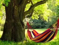 MODERN HOME Hängematte Doppelhängematte Für 1-2 Personen Outdoor Baumwolle Tragbar Garten Camping Hängematte Belastbarkeit 150kg Rainbow Geeignet Für Reise XXL GW-906 26 MODERN HOME Hängematte Doppelhängematte Für 1-2 Personen Outdoor Baumwolle Tragbar Garten Camping Hängematte Belastbarkeit 150kg Rainbow Geeignet Für Reise XXL GW-906 -Angebote Moos Traum Store 39fd853bee8fb9511d7fe0805a261cdd