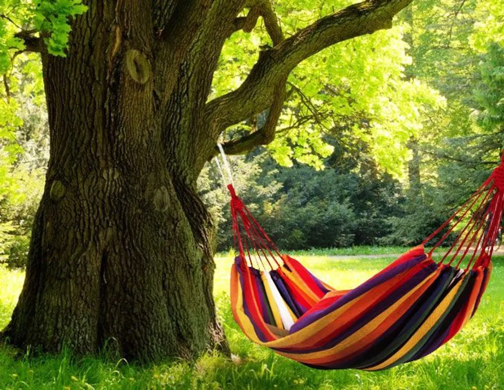 MODERN HOME Hängematte Doppelhängematte Für 1-2 Personen Outdoor Baumwolle Tragbar Garten Camping Hängematte Belastbarkeit 150kg Rainbow Geeignet Für Reise XXL GW-906 10 MODERN HOME Hängematte Doppelhängematte Für 1-2 Personen Outdoor Baumwolle Tragbar Garten Camping Hängematte Belastbarkeit 150kg Rainbow Geeignet Für Reise XXL GW-906 – Bild 10