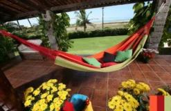 MacaMex Hängematte Mit Gestell Siesta Grande + Brasil Premium Bahia Hängematte 15 MacaMex Hängematte Mit Gestell Siesta Grande + Brasil Premium Bahia Hängematte -Angebote Moos Traum Store 454a093b7e99d1701ae444515b666cad