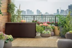 Keter Emily 280 L Braun Garten Truhe -Angebote Moos Traum Store 6829dee4cbf4d74985ac42c7e5f874db