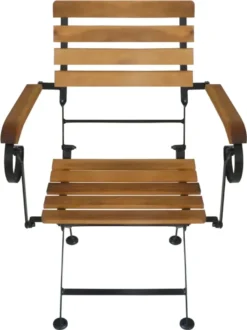 VidaXL Klappbare Gartenstühle 4 Stk. Stahl Und Massivholz Akazie 9 VidaXL Klappbare Gartenstühle 4 Stk. Stahl Und Massivholz Akazie -Angebote Moos Traum Store 83867428e77134d28519f995e251ebae