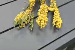 Garden Impressions Lounge/Dining Set Andrea 5-teilig Links Carbon Black -Angebote Moos Traum Store 874cbf68ca40b12e6c13b1f05203515c