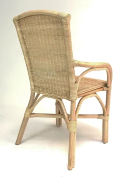 Rattan Stuhl, Natur Lackiert, Korbsessel, Korbstuhl, Rattansessel, Rattanstuhl -Angebote Moos Traum Store 992f2b0094e98a46018cc4348b4fee72