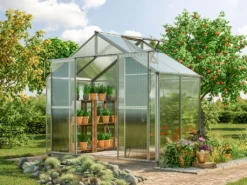 GFP Gewächshaus Topas 2 Aus Alu 225x133 Cm Ca. 8 Mm Doppelstegplatten Mit Fundamentrahmen, Automatischer Fensteröffner - Austria -Angebote Moos Traum Store b0f33414c887632bc2384edfb89e6133