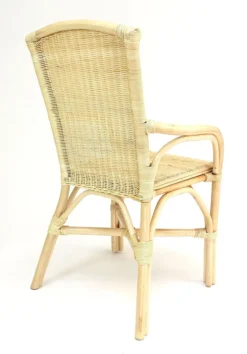 Rattan Stuhl, Natur Lackiert, Korbsessel, Korbstuhl, Rattansessel, Rattanstuhl -Angebote Moos Traum Store baa3a23e5a54c7cbb1afb56dfc57e55b
